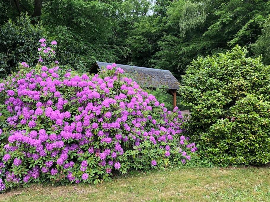 "La Homerie" Chaumiere En Pleine Nature Savigny-en-Sancerre Exterior foto